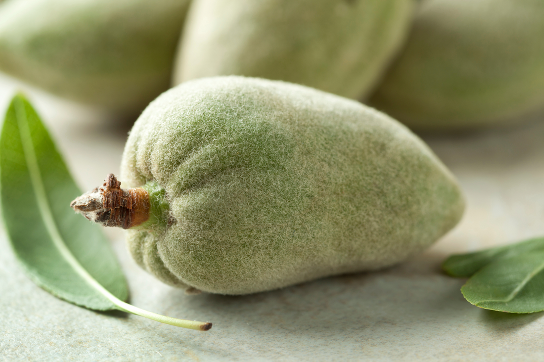 What Is Fresh Green Almond? A Guide to Unripe Almonds