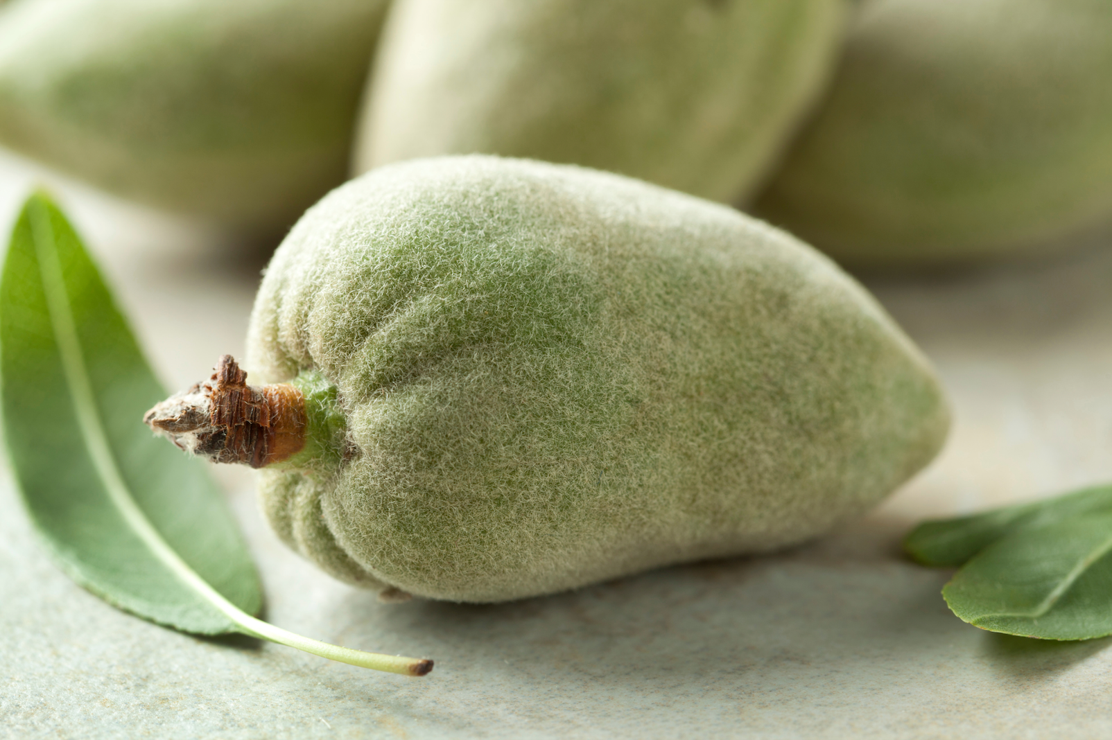 What Is Fresh Green Almond? A Guide to Unripe Almonds