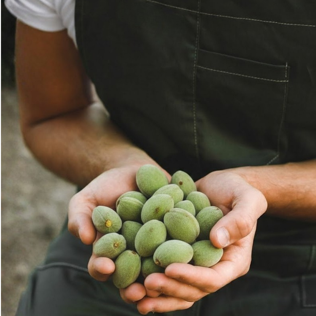 Fresh Green Raw Almond – Whole Edible Unripe Almonds (Çağla Badem)