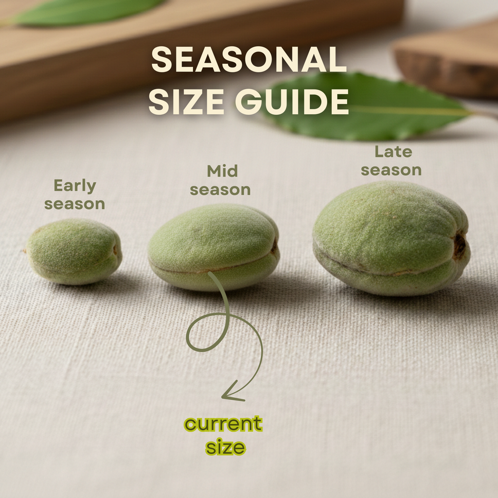 Fresh Green Raw Almond – Whole Edible Unripe Almonds (Çağla Badem)