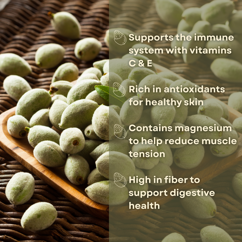 Fresh Green Raw Almond – Whole Edible Unripe Almonds (Çağla Badem)