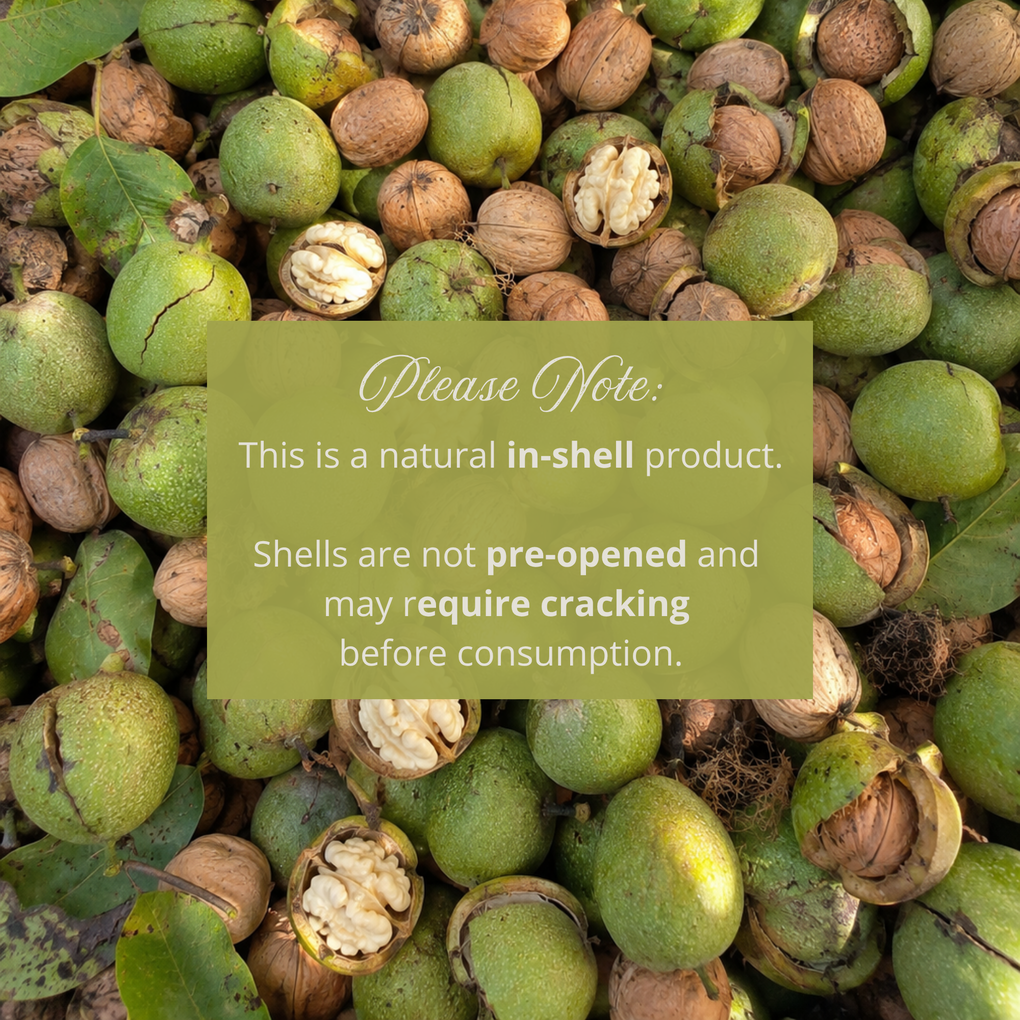Fresh Green Walnuts | Young Walnuts for Pickling, Preserves & Nocino