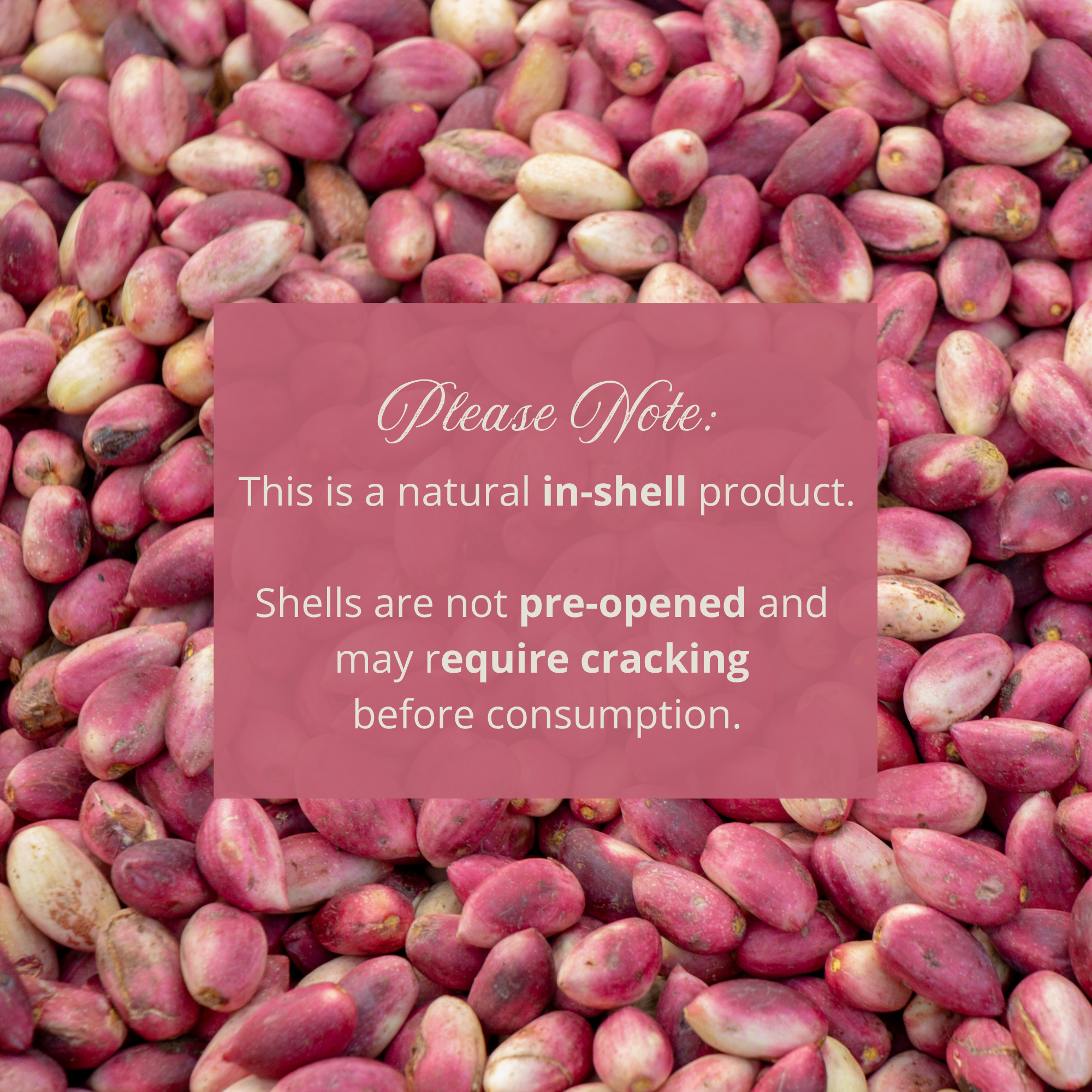 Fresh Raw Pistachios in Shell – Seasonal Green Pistachios, Fresh Harvest Pistachios, Unroasted Pistachios