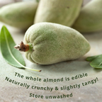 Fresh Green Raw Almond – Whole Edible Unripe Almonds (Çağla Badem)