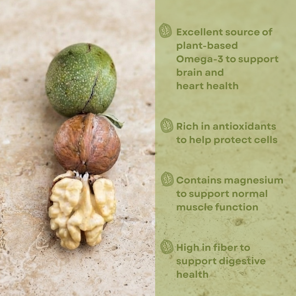 Fresh Green Walnuts | Young Walnuts for Pickling, Preserves & Nocino