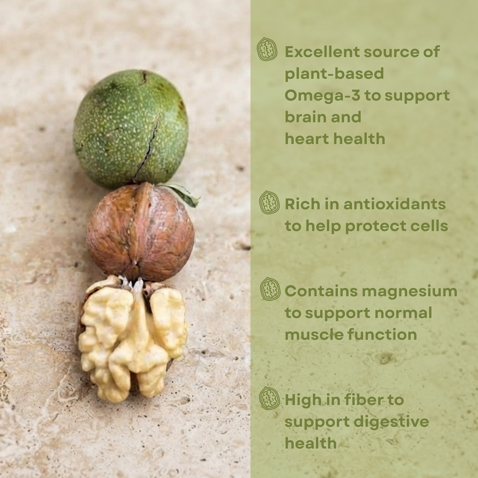 Fresh Green Walnuts | Young Walnuts for Pickling, Preserves & Nocino