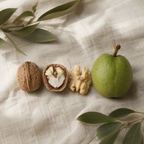 Fresh Green Walnuts | Young Walnuts for Pickling, Preserves & Nocino