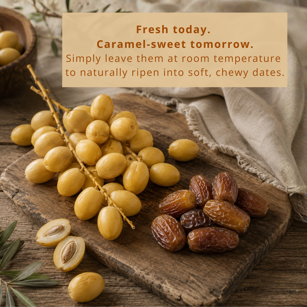 Premium Fresh Yellow Barhi Dates (Khalal Stage) – Barhee Dates (Rutab Barhi) | Seasonal Fresh Date Fruit