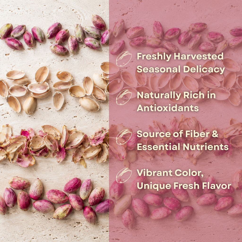 Fresh Raw Pistachios in Shell – Seasonal Green Pistachios, Fresh Harvest Pistachios, Unroasted Pistachios