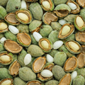 Fresh Raw Almonds with Shell (Second Harvest) – Edible Inner Almond
