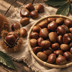 Fresh Chilean Raw Chestnuts in Shell