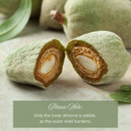 Fresh Raw Almonds with Shell (Second Harvest) – Edible Inner Almond
