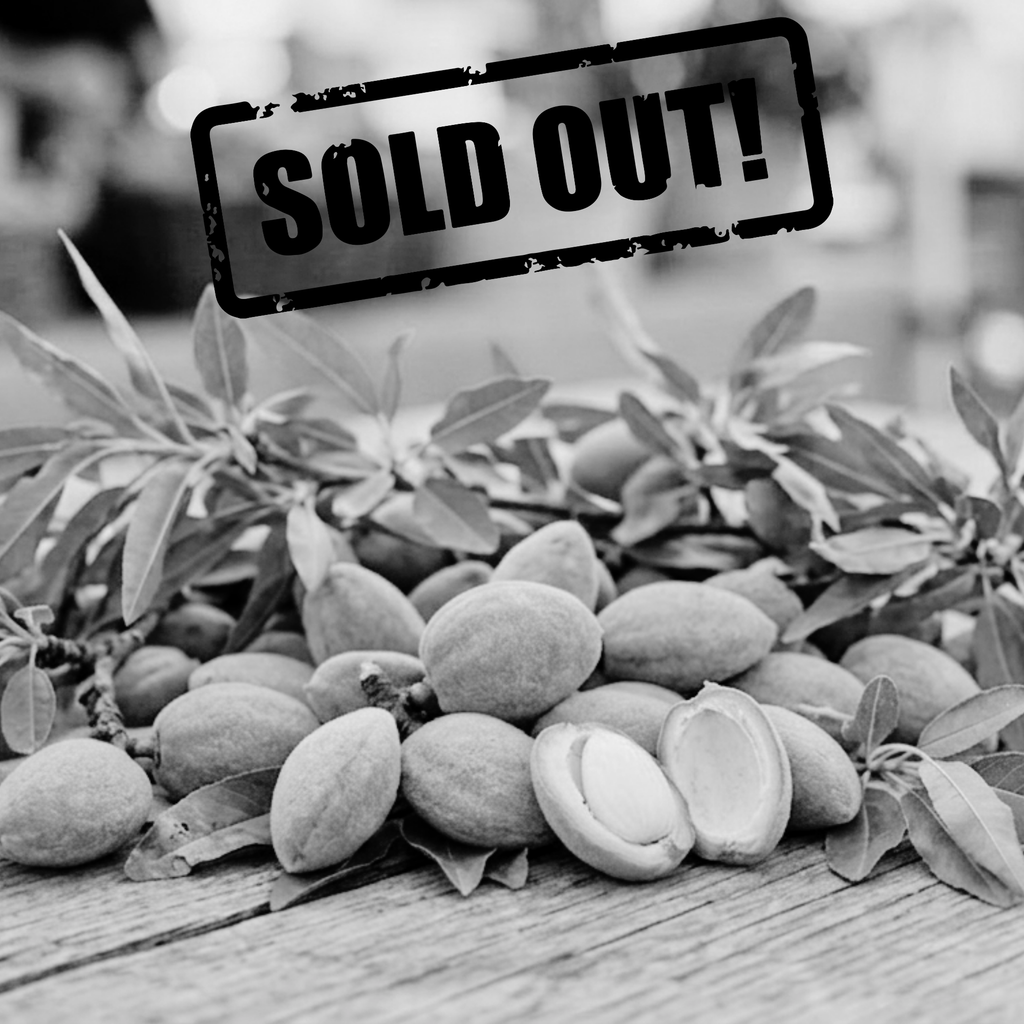 Fresh Green Raw Almond – Whole Edible Unripe Almonds (Çağla Badem)