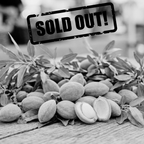 Fresh Green Raw Almond – Whole Edible Unripe Almonds (Çağla Badem)