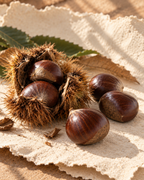 PREMIUM ITALIAN CHESTNUTS – LARGE, FRESH & EASY TO PEEL