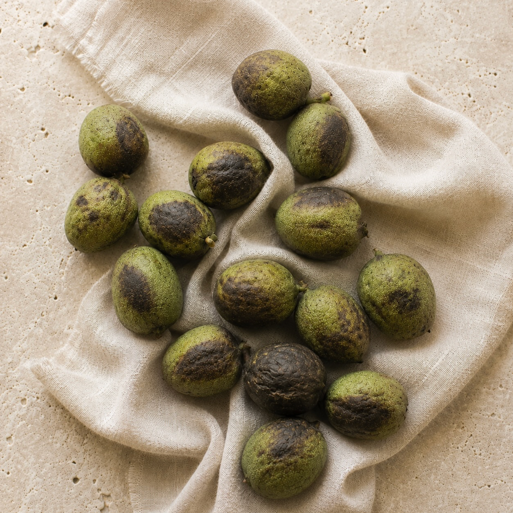 Fresh Green Walnuts | Young Walnuts for Pickling, Preserves & Nocino