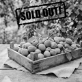 Fresh Green Apricots - Unripe Apricots (Naturally Tangy & Crisp)