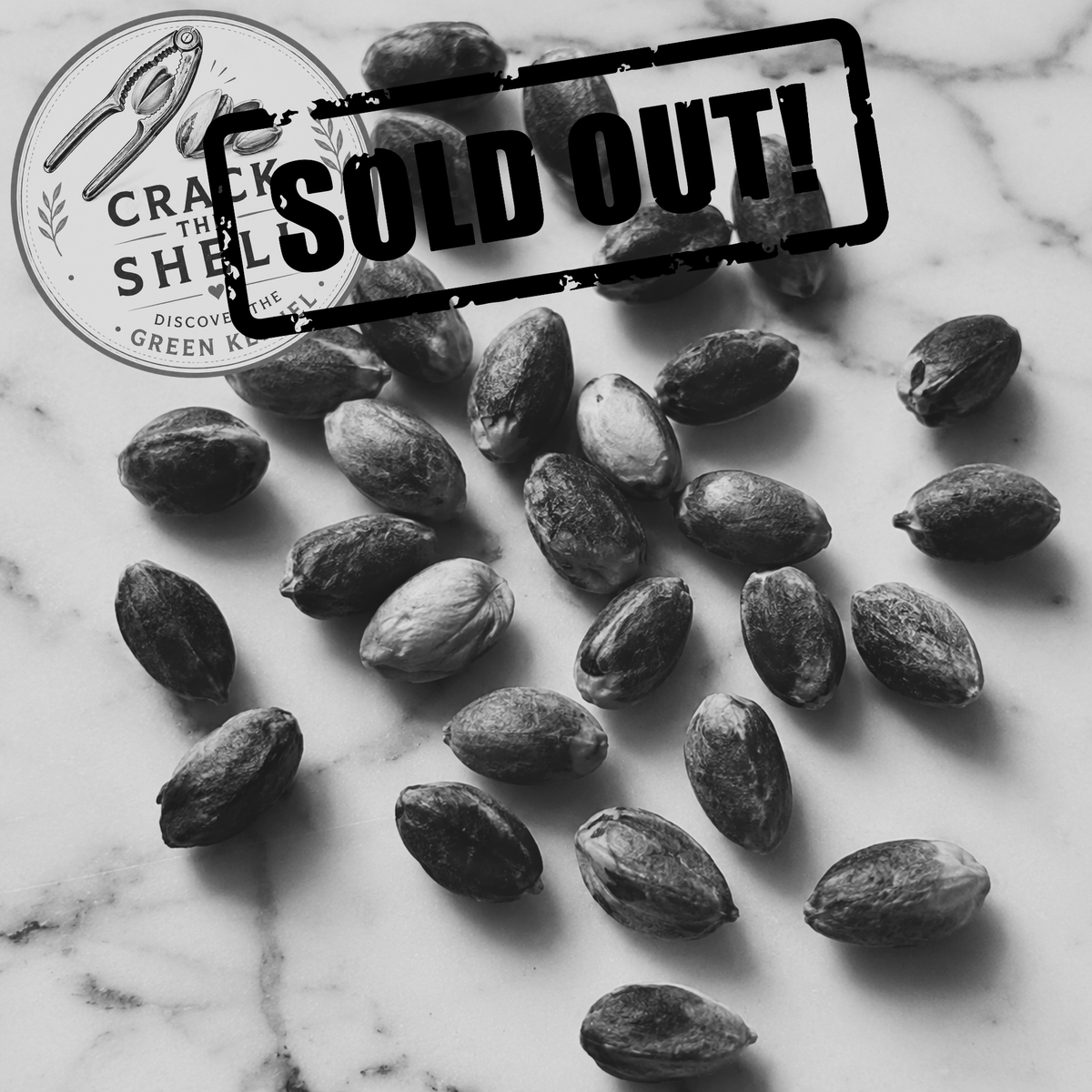 Fresh Raw Pistachios in Shell – Seasonal Green Pistachios, Fresh Harvest Pistachios, Unroasted Pistachios
